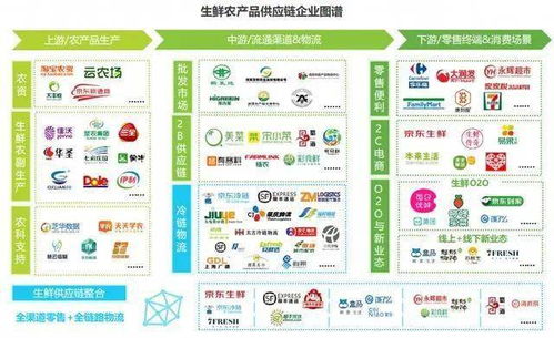 农产品供应链 阿里、京东、顺丰、拼多多的布局与魔力经纪管理系统的核心作用